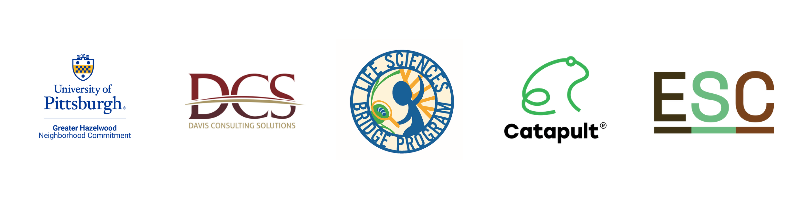 LSBP Partners Banner